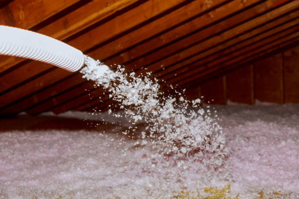 Insulation Contractors for Homes in Wildomar, CA